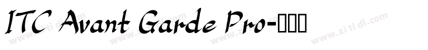 ITC Avant Garde Pro字体转换